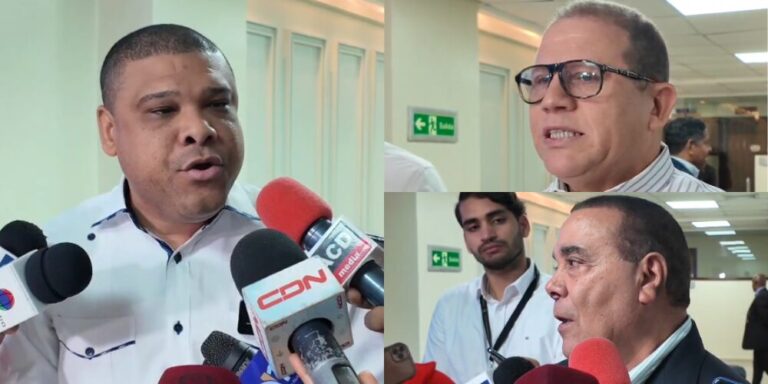 Diputados apoyan decisión de TC de anular la ley que crea la DNI