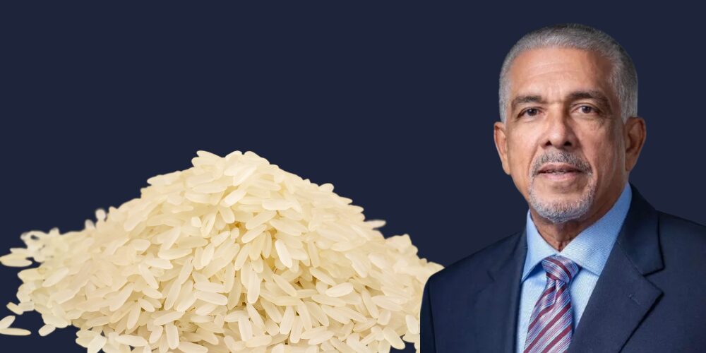 Manuel Amézquita apoya decreto de Abinader que resguarda arroz dominicano
