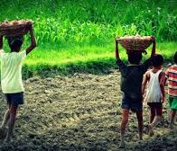 9 de diciembre: Día internacional de la dignidad de las niñas, niños y adolescentes trabajadores