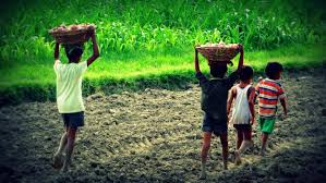 9 de diciembre: Día internacional de la dignidad de las niñas, niños y adolescentes trabajadores