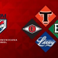 Liga de Béisbol Profesional de la República Dominicana (LIDOM)