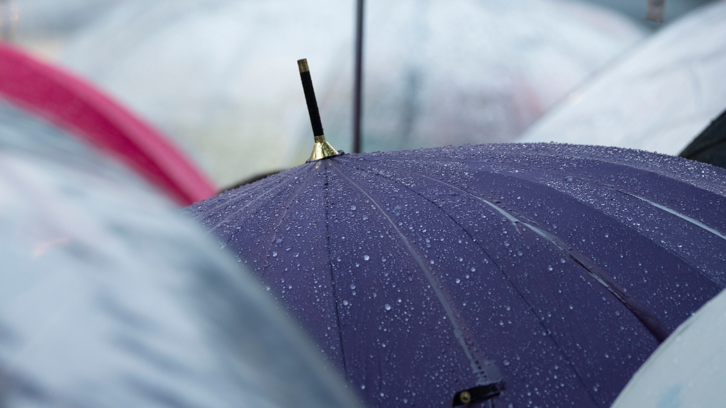 Indomet pronostica lluvias pasajeras este jueves