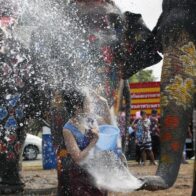 Muere una turista española al ser atacada por un elefante en Tailandia