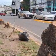 Protestan contra tala de árboles para construir empresa de capital chino en Santiago