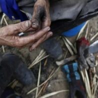 Rescatan en Brasil a 2.004 trabajadores en condiciones análogas a la esclavitud en 2024