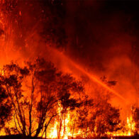 Estado de emergencia en North y Sourth Carolina