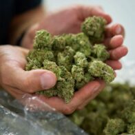 Ventas de cannabis en Nueva York