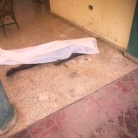 Encuentran adolescente ahogada en Guerra