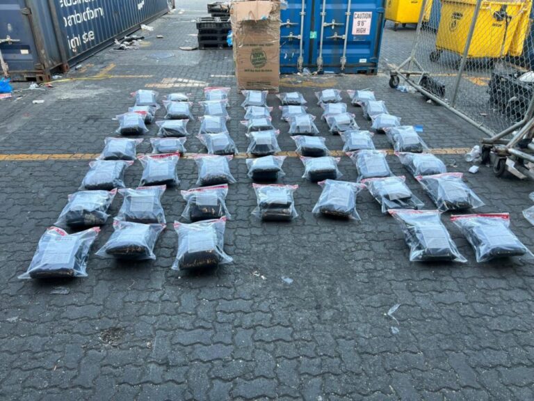 DNCD ocupa otros 95 paquetes de marihuana en puerto Haina