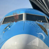 Avión aterriza de emergencia con los parabrisas manchados de sangre