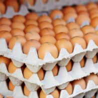 Roban 100.000 huevos de un camión en Pensilvania