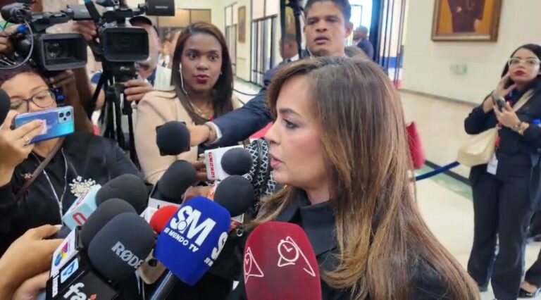 Laura Peña Izquierdo, presidenta de la Copardom.