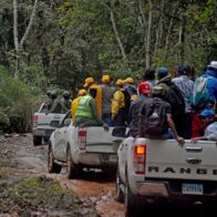 SENPA, Medio Ambiente y MIDE plantan 5,000 árboles de pino para recuperación de Sonadorcito en Monseñor Nouel
