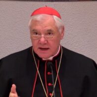 Cardenal Muller dice no es momento de pensar en un sucesor con el papa ingresado