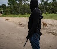 México reconoce 30 niños asesinados por pugna del narcotráfico en Sinaloa