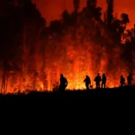 Autoridades detienen a 14 personas vinculadas con los incendios en el centro de Chile