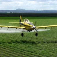 Agricultura advierte a compañías de avionetas fumigadoras en SFM tras intoxicaciones