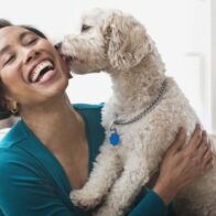 El antropomorfismo en las mascotas: ¿afecto o riesgo para su bienestar?