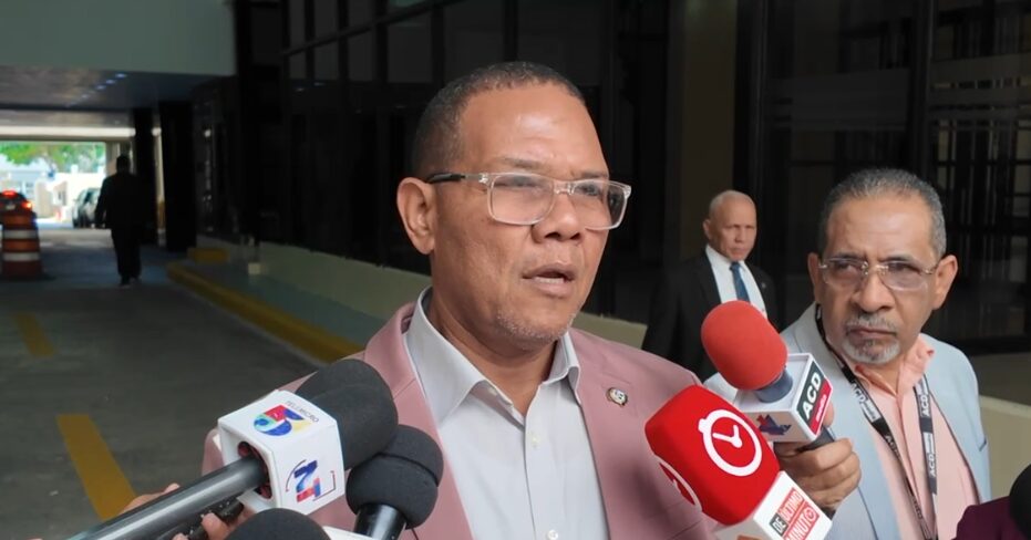 Diputado de SPM sobre "sueño" de Raquel Peña