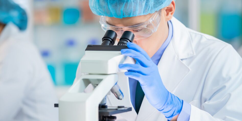 ¡La muerte no fue el final! nacen tres cabras por fecundación in vitro de animales muertos