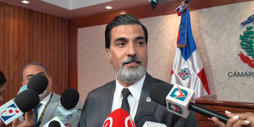 Diputados se proponen presentar una Cámara de Cuentas con "los mejores" miembros