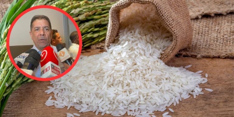 Ministro de Agricultura asegura precios de arroz permanecen normalizados