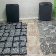 DNCD incauta dos maletas con 79 paquetes de marihuana en aeropuerto de Punta Cana