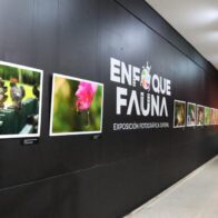Museo Natural anuncia segunda edición del concurso fotográfico: “Enfoque fauna”
