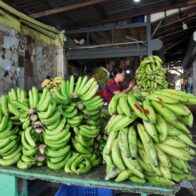 El plátano seguirá subiendo de precio, advierten comerciantes