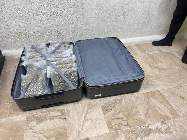DNCD arresta a tres canadienses presuntamente vinculados a confiscación de marihuana