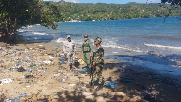 SENPA y Medio Ambiente refuerzan vigilancia en Samaná por contaminación en playas