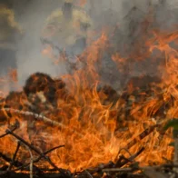 Familia pierde su vivienda tras incendio en Samaná