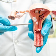 26 de marzo: Día Mundial de Prevención del Cáncer de Cuello Uterino