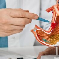 El cerebro puede controlar el apetito, demuestran científicos españoles y belgas