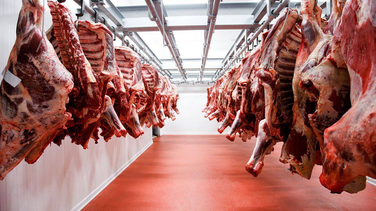 Carne de res.