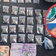 Dintel ocupa drogas y apresa a dos personas durante operativos en SDN