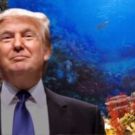 Trump firma orden para penalizar a las ciudades que no colaboren con agentes de migración