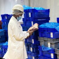 RD seguirá exportando carnes a EEUU tras auditoría que revalida la calidad en los procesos
