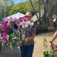 Realizan el Cuarto Festival de las Orquídeas en Santiago