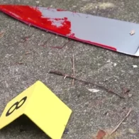 Asesinan a ganadero en Villa Isabela; acusan a ciudadano haitiano como principal sospechoso