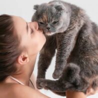 Los gatos son capaces de distinguir a su dueño usando solo el olfato