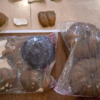 Cargamento confiscado en auyamas plásticas tuvo un peso total de 624 kilogramos de cocaína