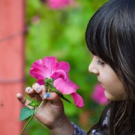 Día Internacional de la Fascinación por las Plantas