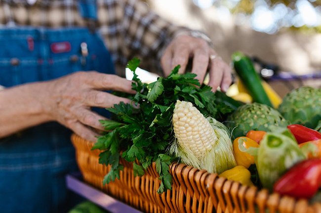 Día Mundial del Horticultor