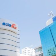 Edesur informa árbol tumba línea de circuito y provoca avería en Jimaní y Duvergé