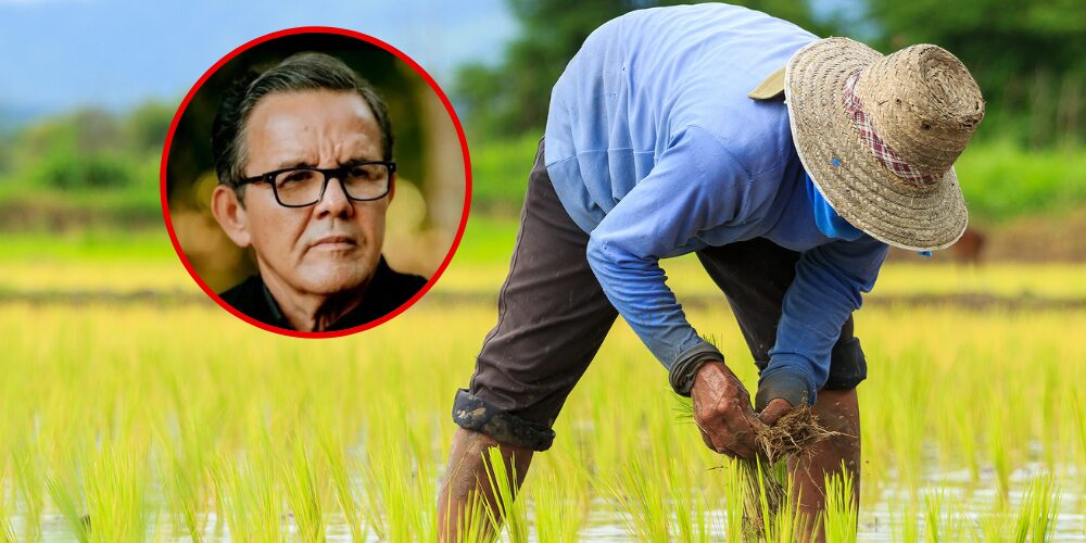 ANPA saluda a los agricultores dominicanos en su día