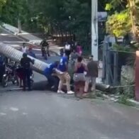 Consternación en Gurabo por la trágica muerte de hombre aplastado por palma