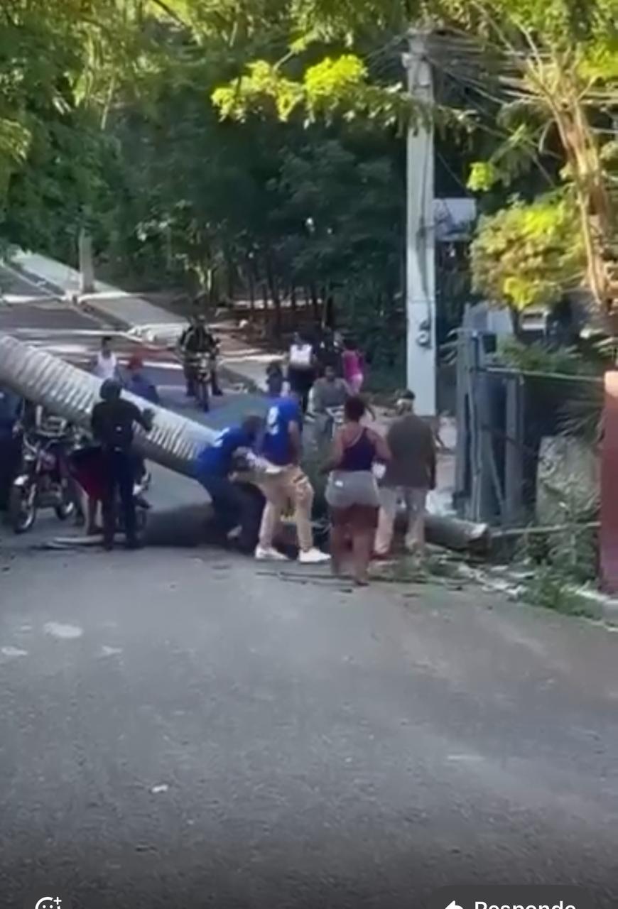 Consternación en Gurabo por la trágica muerte de hombre aplastado por palma