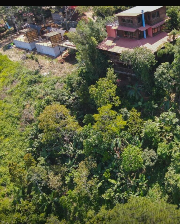 Propietarios de Jamaca de Dios alertan sobre posible colapso en montaña de Jarabacoa 5 | Noticias de hoy en República Dominicana WhatsApp Image 2025 05 18 at 1.21.33 PM | Noticias de hoy en De Último Minuto