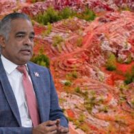 Fotomontaje del Ministro de Energía y Minas, Joel Santos.